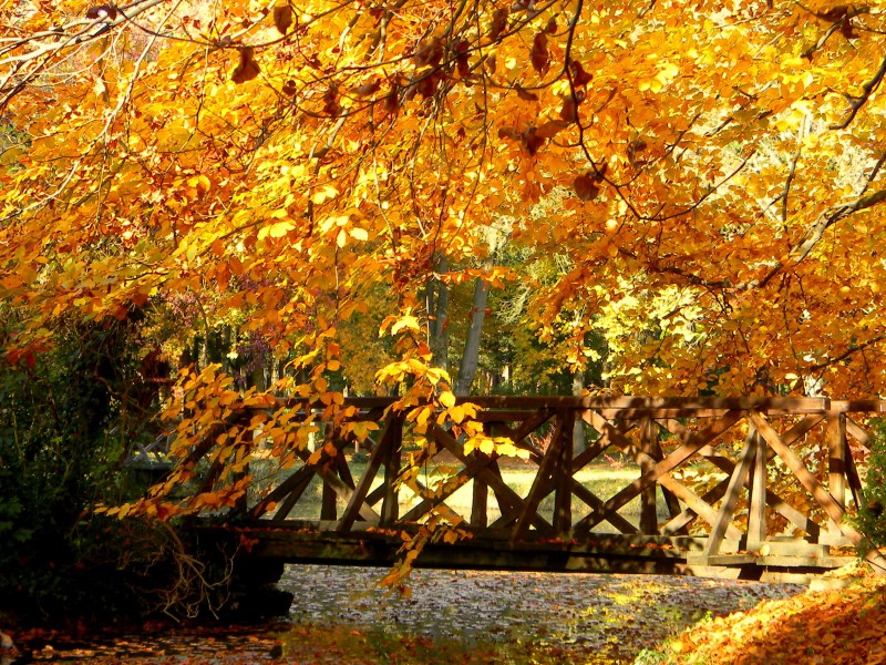 Fotópályázat vándorkiállítása nyílik a Kodály Gimnáziumban