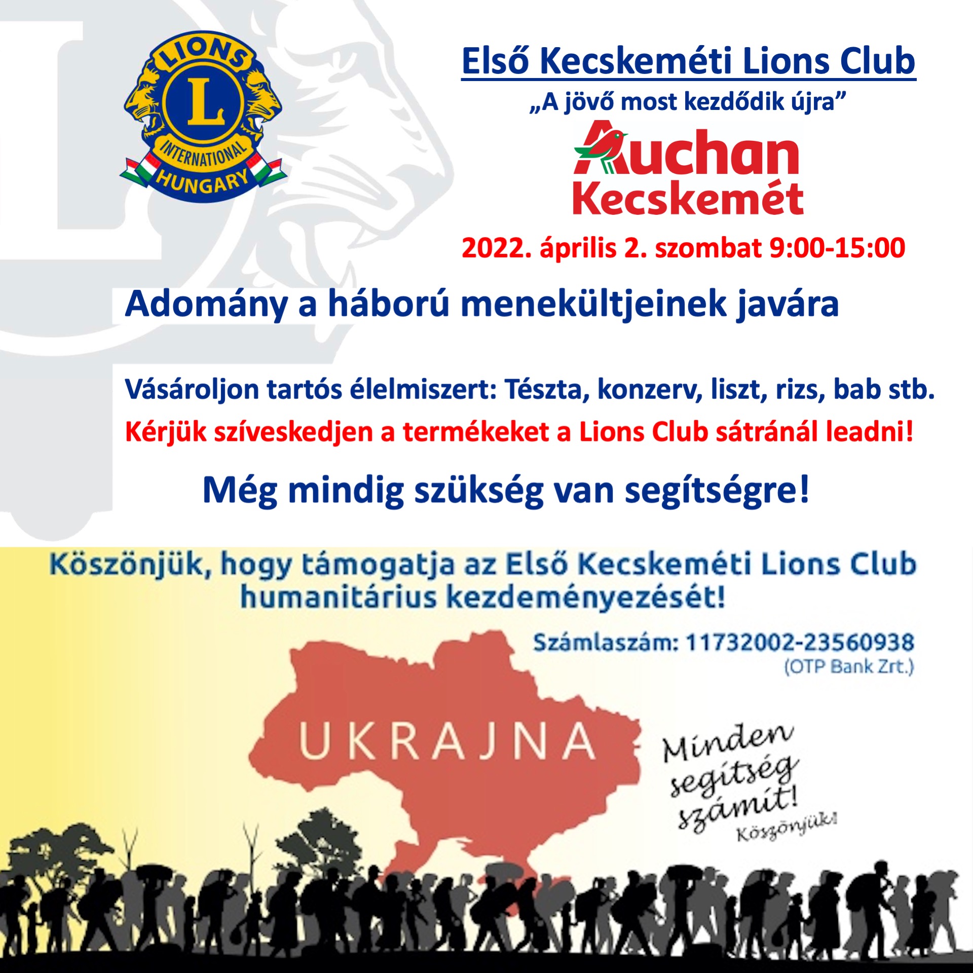 Oroszlánok segítenek Kecskeméten